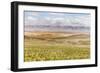 Scenic View Of The Carrizo Plain-Ron Koeberer-Framed Photographic Print