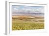 Scenic View Of The Carrizo Plain-Ron Koeberer-Framed Photographic Print