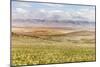 Scenic View Of The Carrizo Plain-Ron Koeberer-Mounted Photographic Print