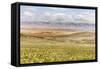 Scenic View Of The Carrizo Plain-Ron Koeberer-Framed Stretched Canvas