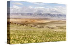 Scenic View Of The Carrizo Plain-Ron Koeberer-Stretched Canvas