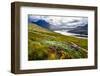 Scenic View of the Lake and Mountains, Inverpolly, Scotland, United Kingdom-Martin M303-Framed Photographic Print