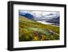 Scenic View of the Lake and Mountains, Inverpolly, Scotland, United Kingdom-Martin M303-Framed Photographic Print