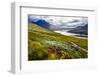 Scenic View of the Lake and Mountains, Inverpolly, Scotland, United Kingdom-Martin M303-Framed Photographic Print