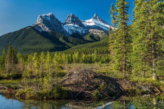 Premium Photographic Print, , large