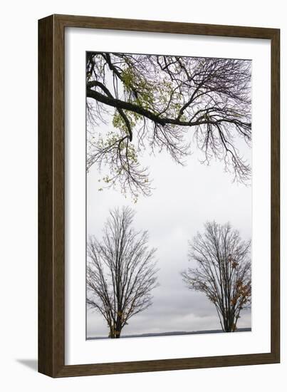 Scenic view of trees, Chautauqua Lake, Chautauqua Institution Historic District, Chautauqua, Wes...-Panoramic Images-Framed Photographic Print