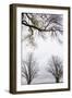 Scenic view of trees, Chautauqua Lake, Chautauqua Institution Historic District, Chautauqua, Wes...-Panoramic Images-Framed Photographic Print