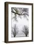 Scenic view of trees, Chautauqua Lake, Chautauqua Institution Historic District, Chautauqua, Wes...-Panoramic Images-Framed Photographic Print