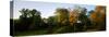 Scenic view of trees in Great Circle Earthworks, Newark, Ohio, USA-null-Stretched Canvas