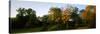 Scenic view of trees in Great Circle Earthworks, Newark, Ohio, USA-null-Stretched Canvas