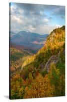 Scenic view of trees on mountain, Great Range, Giant Mountain, Adirondack Mountains State Park,...-null-Stretched Canvas