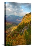 Scenic view of trees on mountain, Great Range, Giant Mountain, Adirondack Mountains State Park,...-null-Stretched Canvas