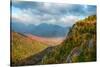 Scenic view of trees on mountain, Great Range, Giant Mountain, Adirondack Mountains State Park,...-null-Stretched Canvas