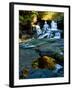 Scenic view of waterfall, Alsea Falls, South Fork Alsea River, Benton County, Central Coast Rang...-null-Framed Photographic Print