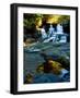 Scenic view of waterfall, Alsea Falls, South Fork Alsea River, Benton County, Central Coast Rang...-null-Framed Photographic Print