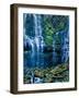 Scenic view of waterfall in a forest, Lower Proxy Falls, Three Sisters Wilderness, Willamette Na...-null-Framed Photographic Print