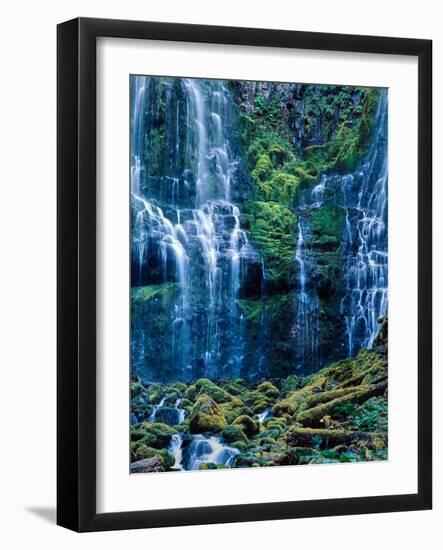 Scenic view of waterfall in a forest, Lower Proxy Falls, Three Sisters Wilderness, Willamette Na...-null-Framed Photographic Print