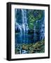 Scenic view of waterfall in a forest, Lower Proxy Falls, Three Sisters Wilderness, Willamette Na...-null-Framed Photographic Print