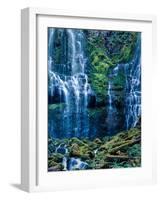 Scenic view of waterfall in a forest, Lower Proxy Falls, Three Sisters Wilderness, Willamette Na...-null-Framed Photographic Print