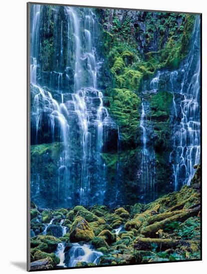Scenic view of waterfall in a forest, Lower Proxy Falls, Three Sisters Wilderness, Willamette Na...-null-Mounted Photographic Print