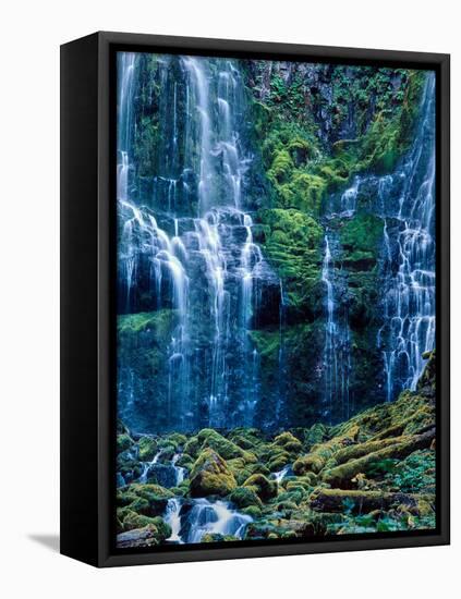 Scenic view of waterfall in a forest, Lower Proxy Falls, Three Sisters Wilderness, Willamette Na...-null-Framed Stretched Canvas