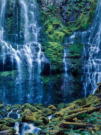 Premium Photographic Print, , large