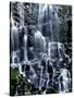 Scenic view of waterfall, Ramona Falls, Mt Hood Wilderness, Mt Hood National Forest, Oregon, USA-null-Stretched Canvas