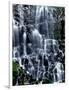 Scenic view of waterfall, Ramona Falls, Mt Hood Wilderness, Mt Hood National Forest, Oregon, USA-null-Framed Photographic Print