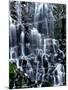 Scenic view of waterfall, Ramona Falls, Mt Hood Wilderness, Mt Hood National Forest, Oregon, USA-null-Mounted Photographic Print