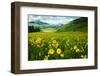 Scenic View of Wildflowers in a Field, Crested Butte, Colorado, USA-null-Framed Photographic Print