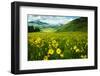 Scenic View of Wildflowers in a Field, Crested Butte, Colorado, USA-null-Framed Photographic Print