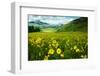 Scenic View of Wildflowers in a Field, Crested Butte, Colorado, USA-null-Framed Photographic Print