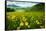 Scenic View of Wildflowers in a Field, Crested Butte, Colorado, USA-null-Framed Stretched Canvas