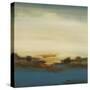 Scenic Views V-Lisa Ridgers-Stretched Canvas