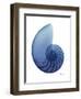 Scenic Water Snail 2-Albert Koetsier-Framed Art Print