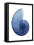 Scenic Water Snail 2-Albert Koetsier-Framed Stretched Canvas