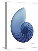 Scenic Water Snail 2-Albert Koetsier-Stretched Canvas