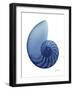 Scenic Water Snail 2-Albert Koetsier-Framed Art Print