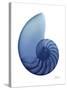 Scenic Water Snail 2-Albert Koetsier-Stretched Canvas