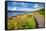 Scenic Winding Road along the Sea Loch Caolisport at Kintyre Peninsula, Argyll and Bute, Scotland,-naumoid-Framed Stretched Canvas