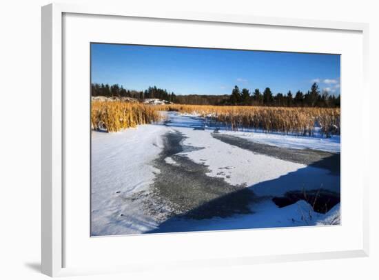 Scenic Winter Day Creek Side-Anthony Paladino-Framed Giclee Print
