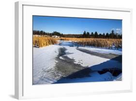 Scenic Winter Day Creek Side-Anthony Paladino-Framed Giclee Print