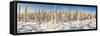 Scenic winter landscape, Alaska, USA-Panoramic Images-Framed Stretched Canvas