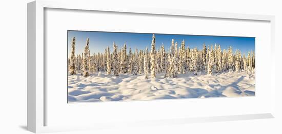 Scenic winter landscape, Alaska, USA-Panoramic Images-Framed Photographic Print