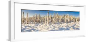 Scenic winter landscape, Alaska, USA-Panoramic Images-Framed Photographic Print