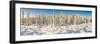 Scenic winter landscape, Alaska, USA-Panoramic Images-Framed Photographic Print