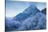 Scenic winter landscape, Gesause National Park, Hieflau, Styria, Austria-Panoramic Images-Stretched Canvas