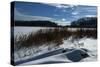 Scenic Winter Landscape-Anthony Paladino-Stretched Canvas