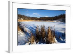 Scenic Winter Landscape-Anthony Paladino-Framed Giclee Print