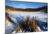 Scenic Winter Landscape-Anthony Paladino-Mounted Giclee Print